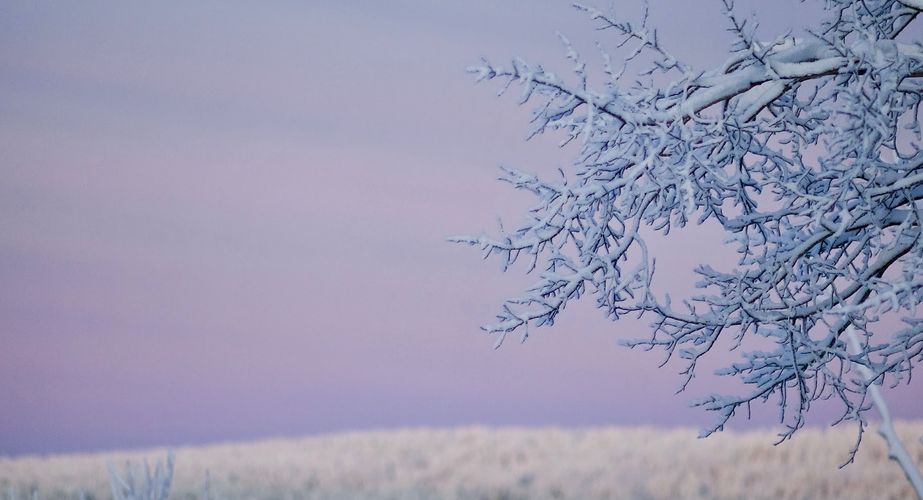 Mooie landschappen Finland